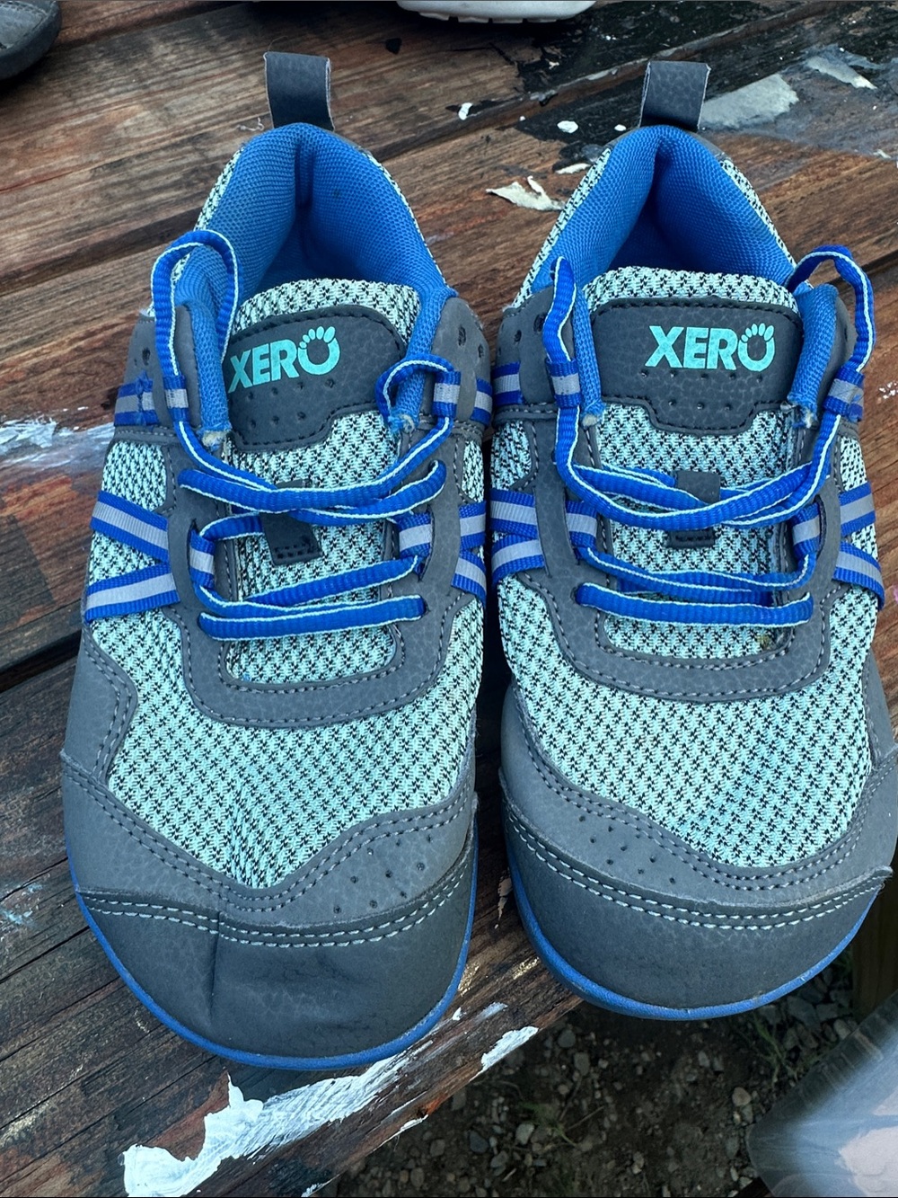 Kids Lightweight Blue & Gray Athletic Shoes